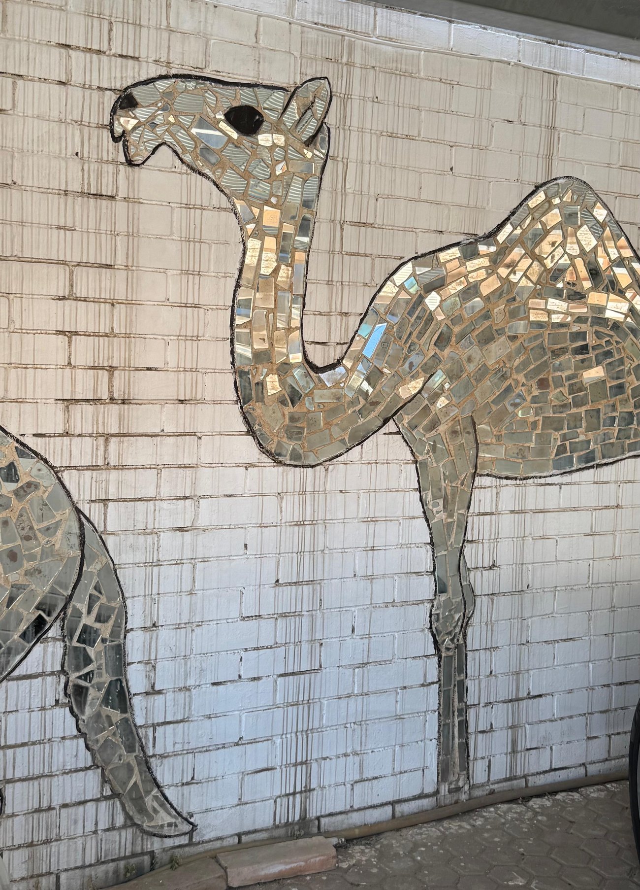 Two mirror-mosaic camels on a whitewashed brick wall